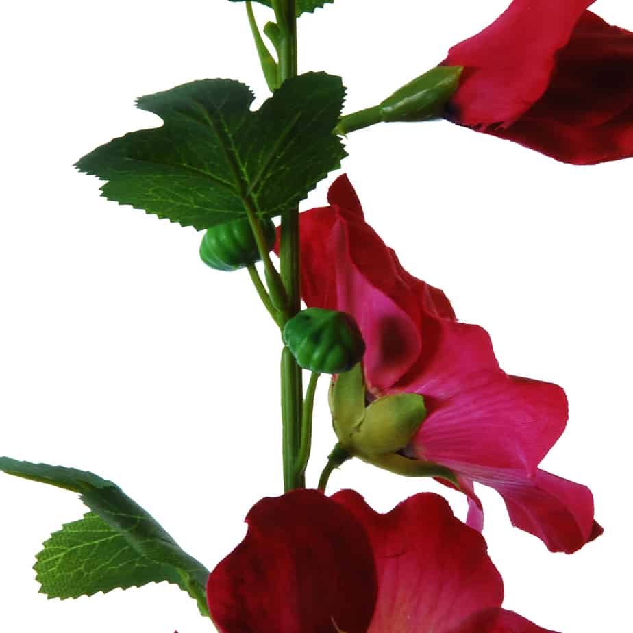 Flowerdutchess stokroos 100cm cerise 4