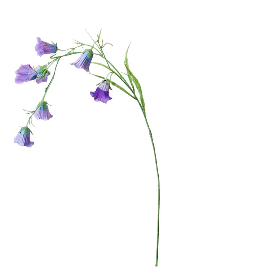 Flowerdutchess Campanula 78cm lavendel 3