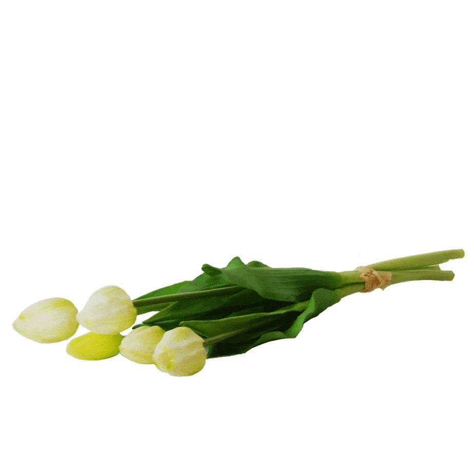 FlowerDutchess 5 artificial white tulips edited 1