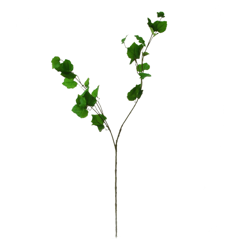 Flowerdutchess birch branch 90cm 2