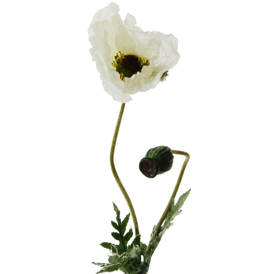FlowerDutchess poppy with bud cream 87cm 5