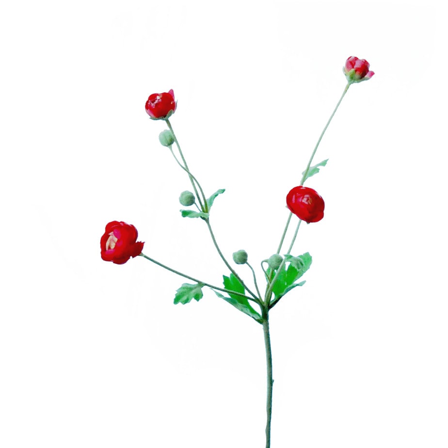 FlowerDutchess ranonkeltakje fuchsia rood