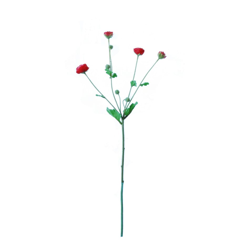 FlowerDutchess ranonkeltakje fuchsia rood fullsize