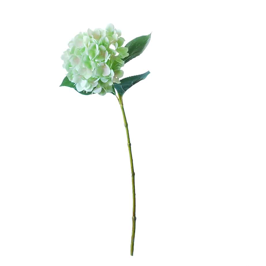 Flowerdutchess Hortensia 67cm groen licht blauw 2