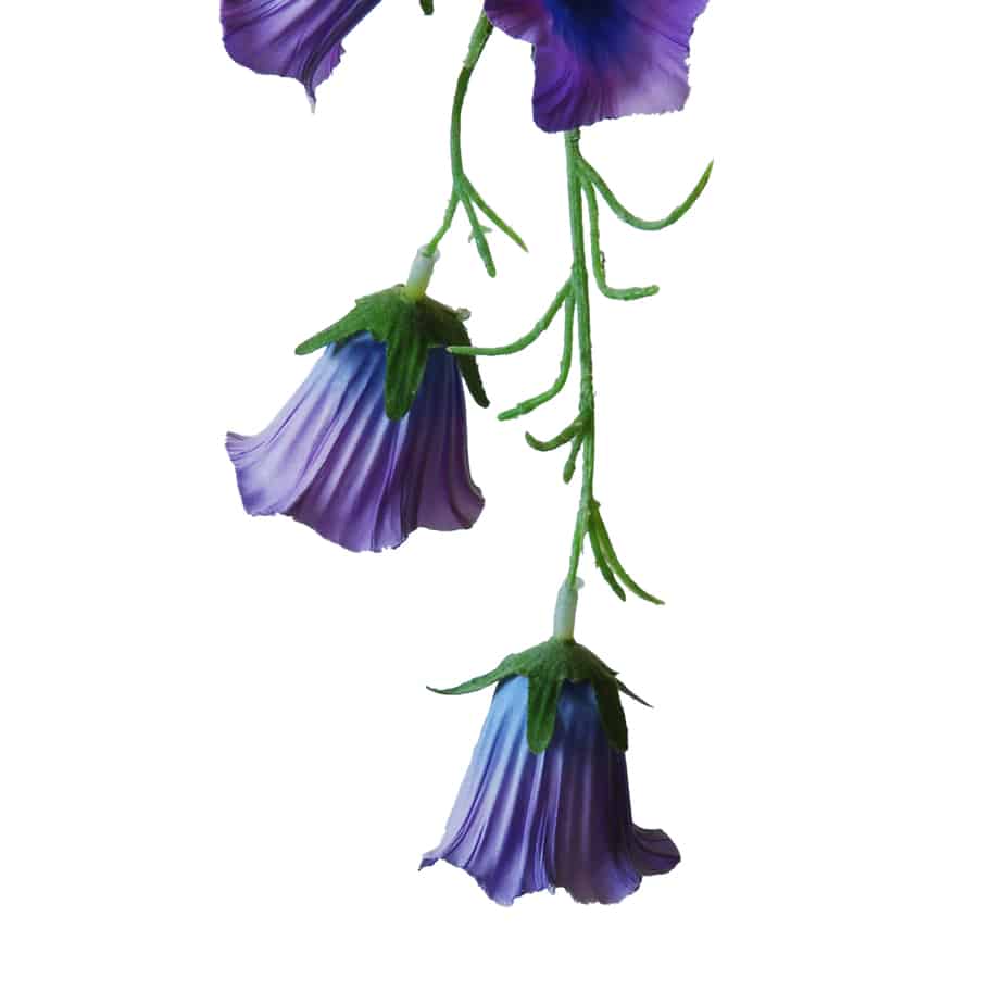 Flowerdutchess Campanula 78cm lavendel 6