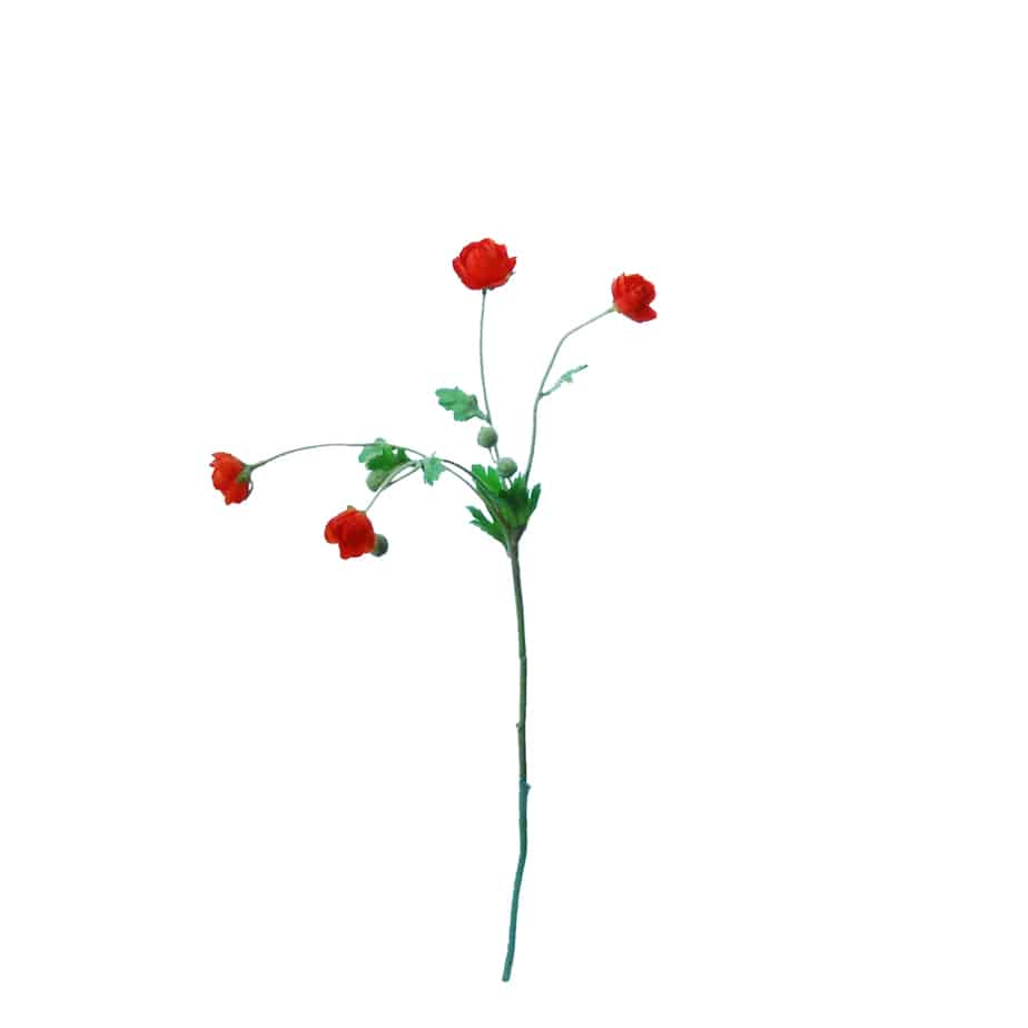 FlowerDutchess Tak 4ranonkeltjes 4knoppen 57cm oranje