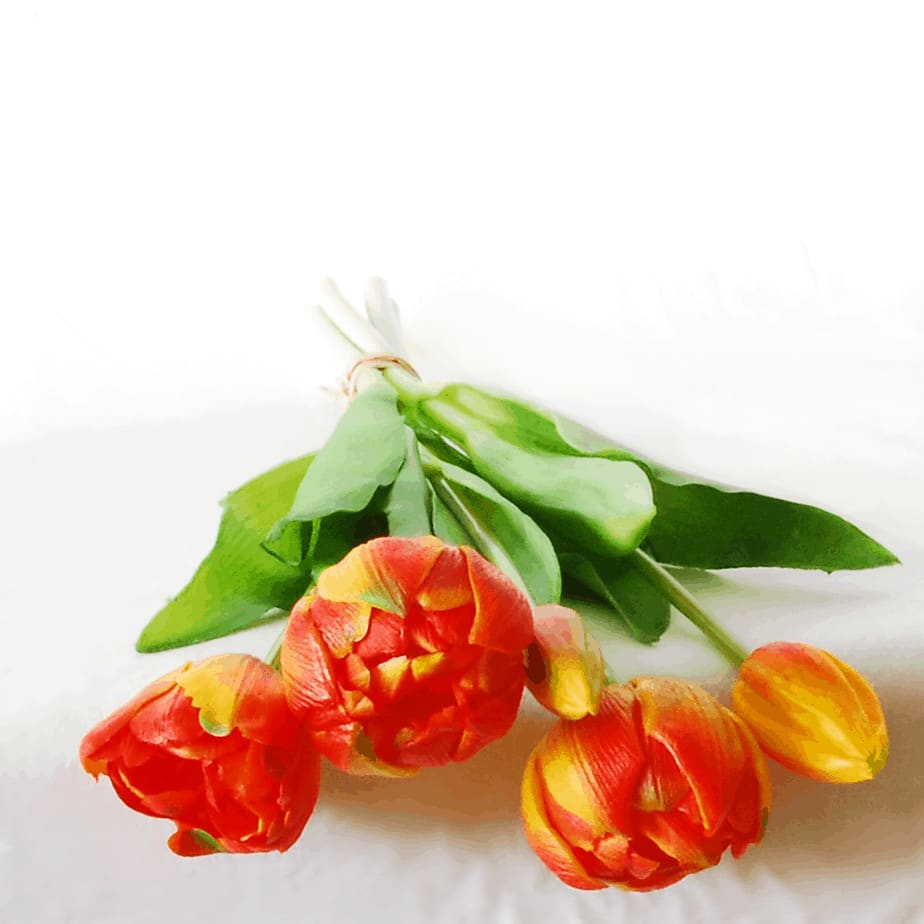 Peony tulip bundle orange 5 37cm detail