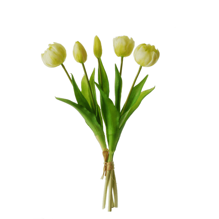 tulips bundle cream 37cm