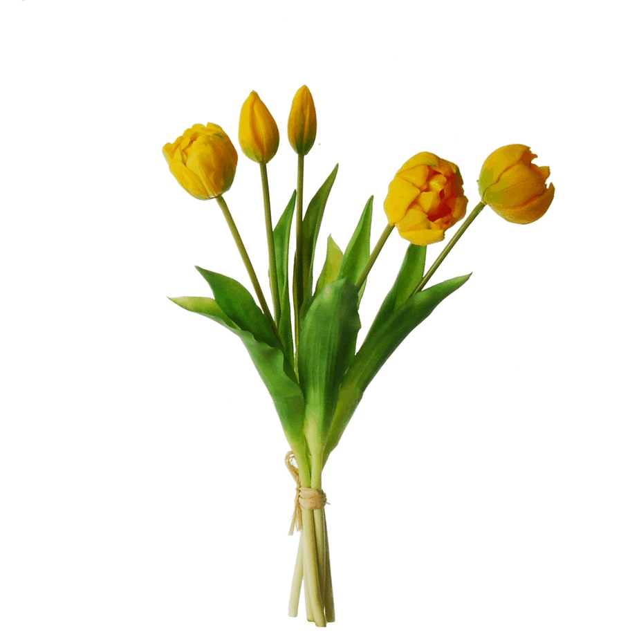 Peony tulip bundle 5 yellow 37cm tall