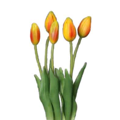 Tulip bundle 45 cm orange