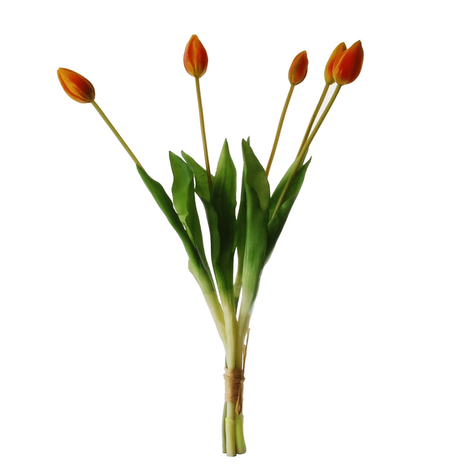 tulip bundle orange 45cm