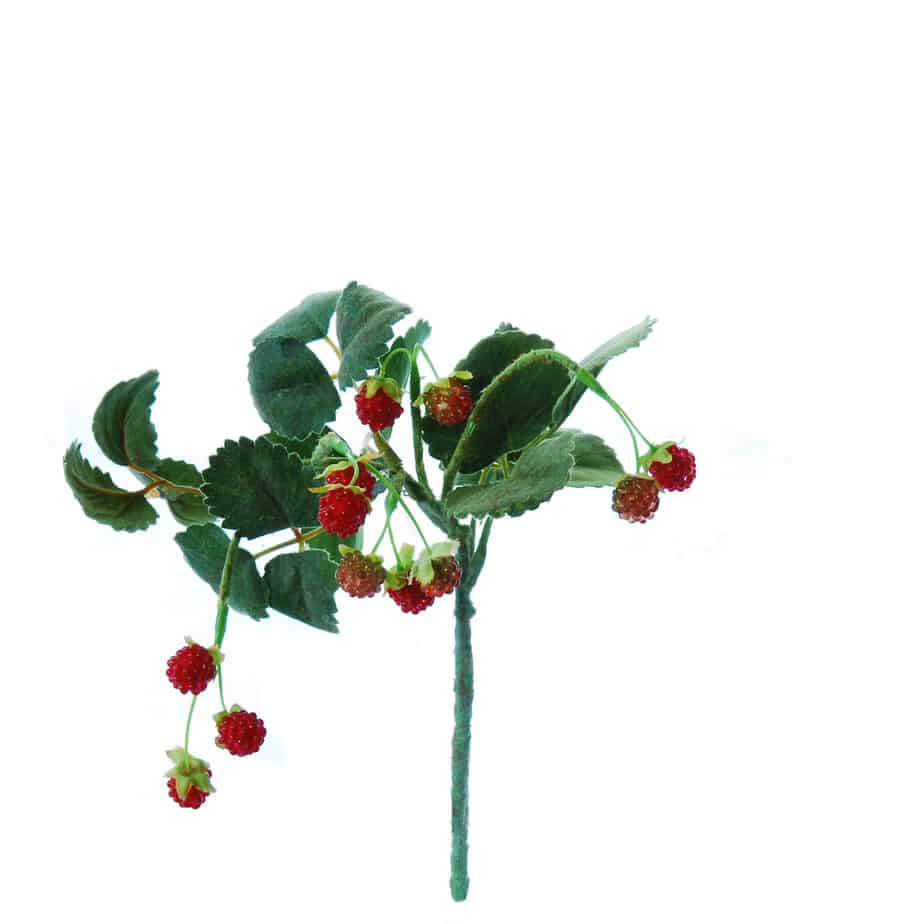 FlowerDutchess Bosje wilde aardbeitjes 29cm 2