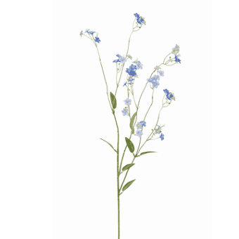 FlowerDutchess vergeetmeniet 74cm blauw