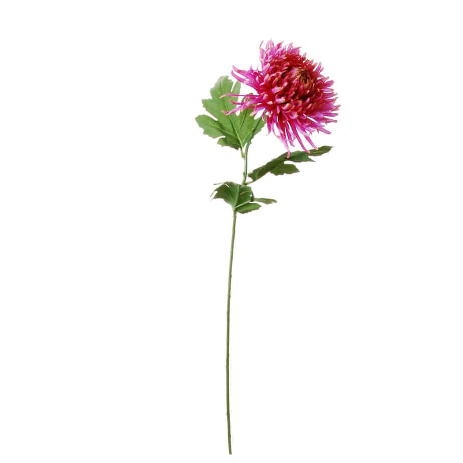Chrysant 65cm fuchsia 2
