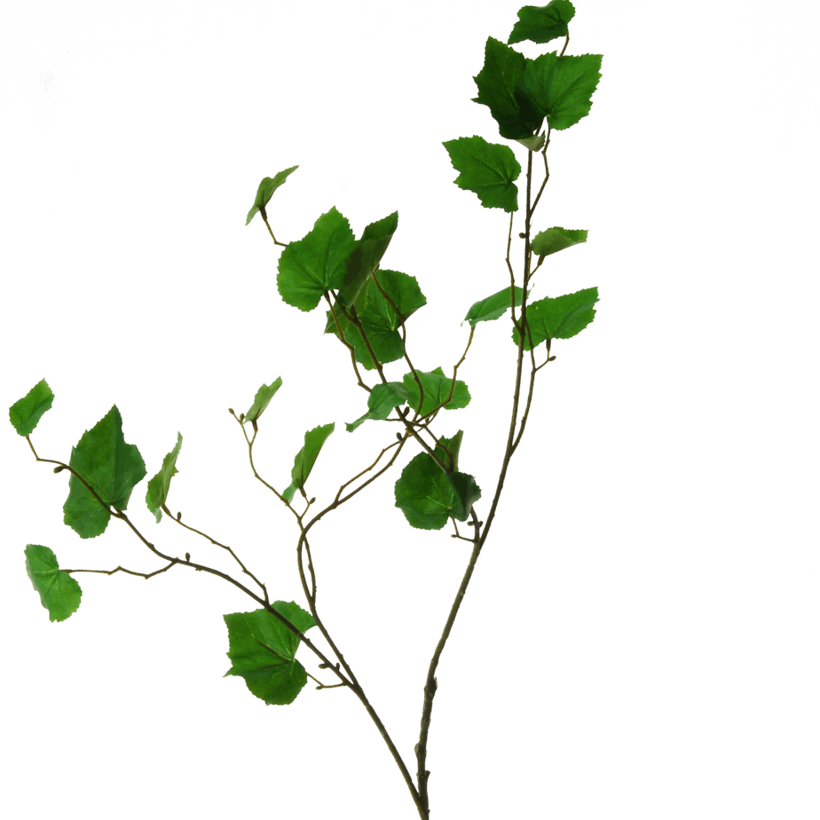 Flowerdutchess birch branch 90cm 1