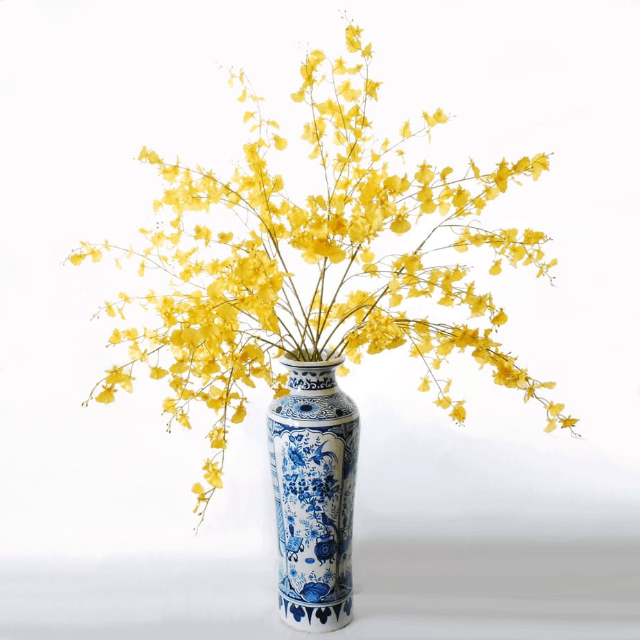 Orchis Oncydium yellow in delfts blue edited 1