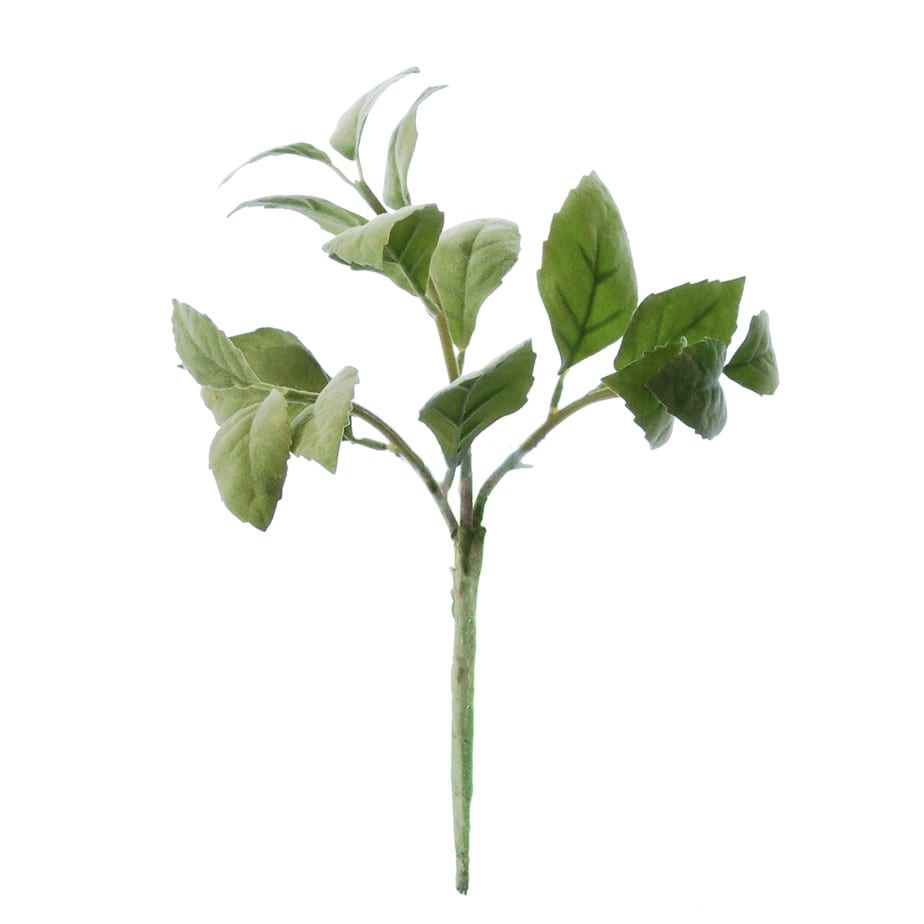 FlowerDutchess herb bundle