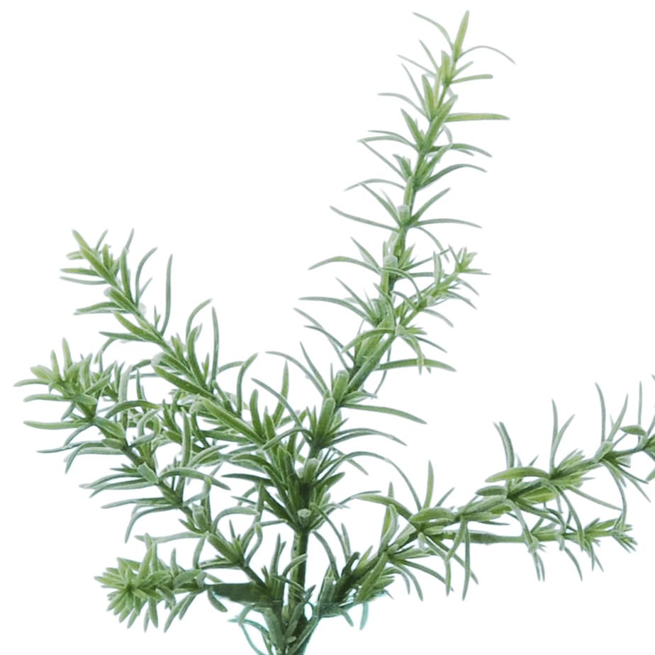 flowerdutchess herb bundle 4
