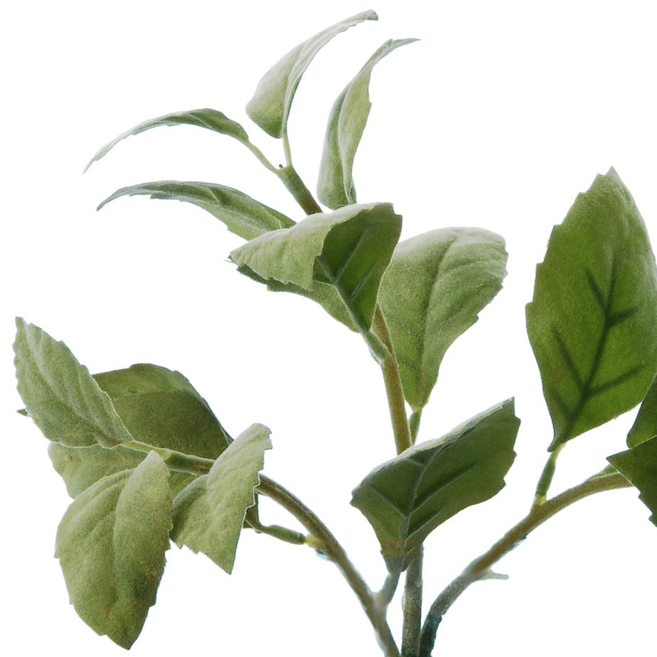 flowerdutchess herb bundle 2