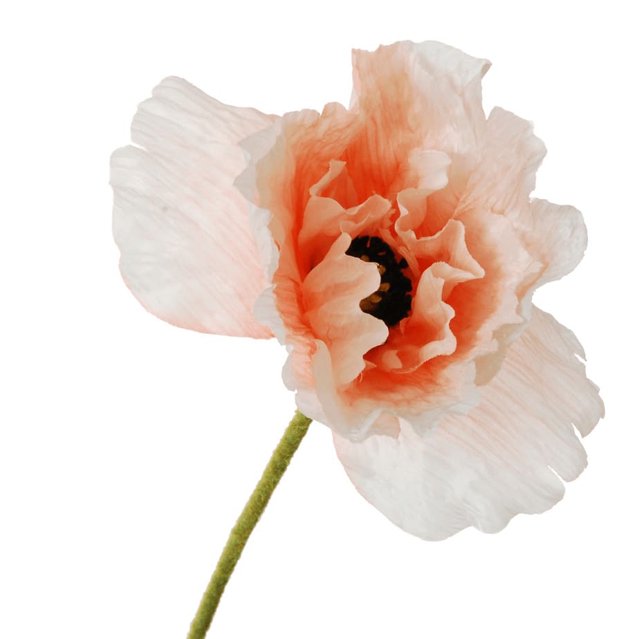 FlowerDutchess poppy 82cm salmon