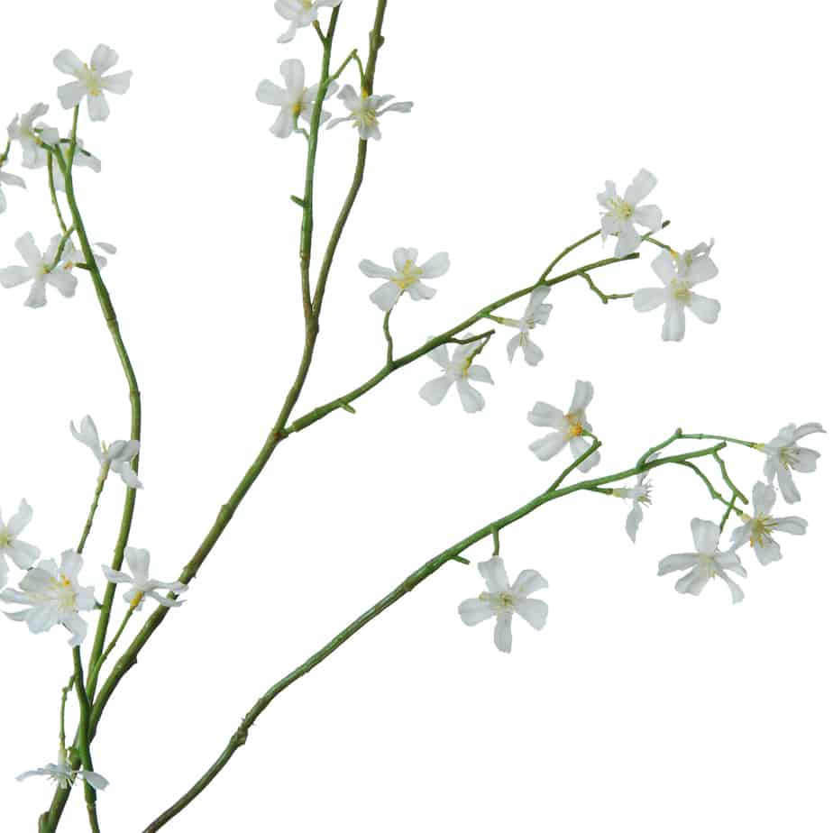 FlowerDutchess Jasmijn tak 90cm