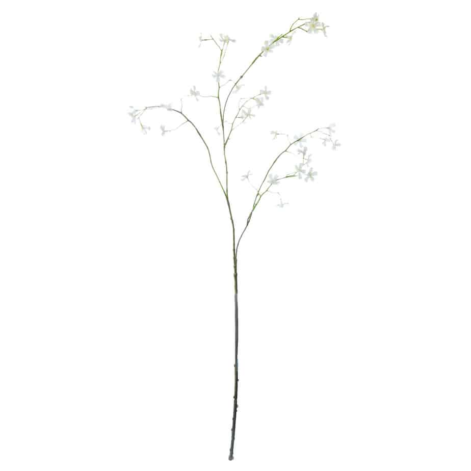 FlowerDutchess Jasmijn tak 90cm 4jpg