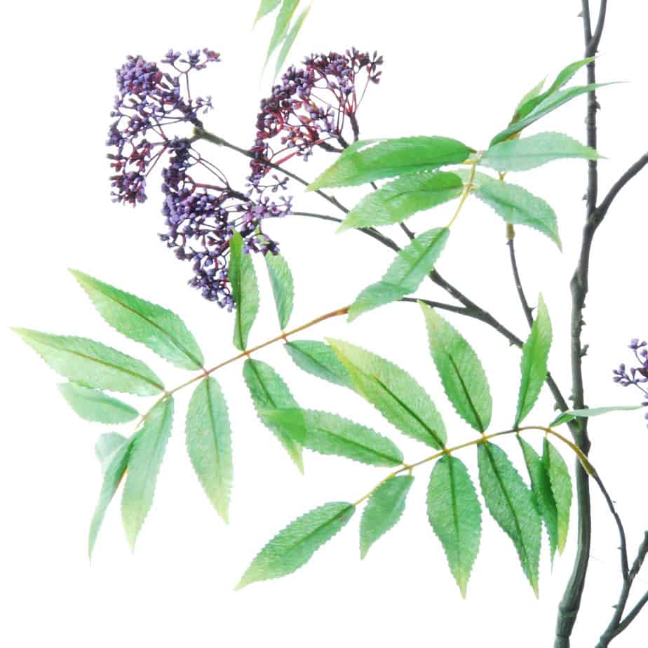 FlowerDutchess tak met sering achtige knopjes 108cm paars 2