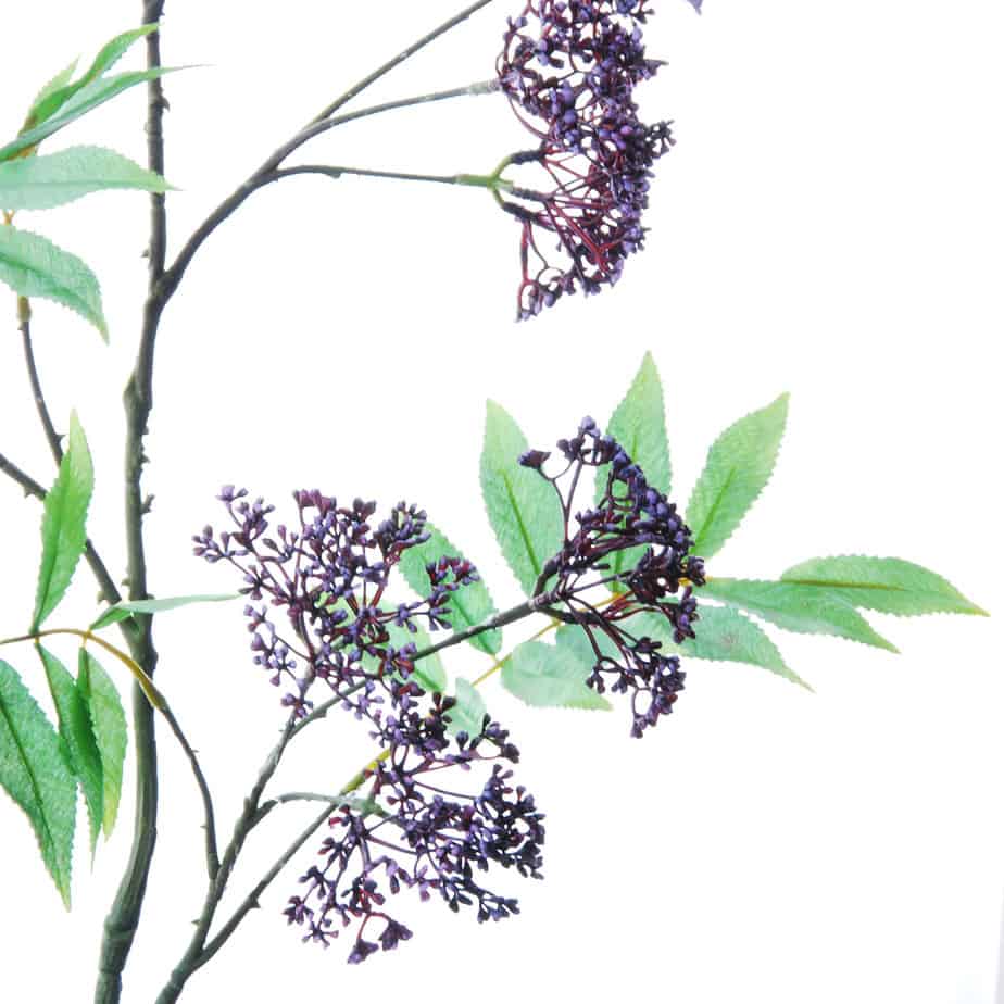 FlowerDutchess Bosje wilde aardbeitjes 29cm 3