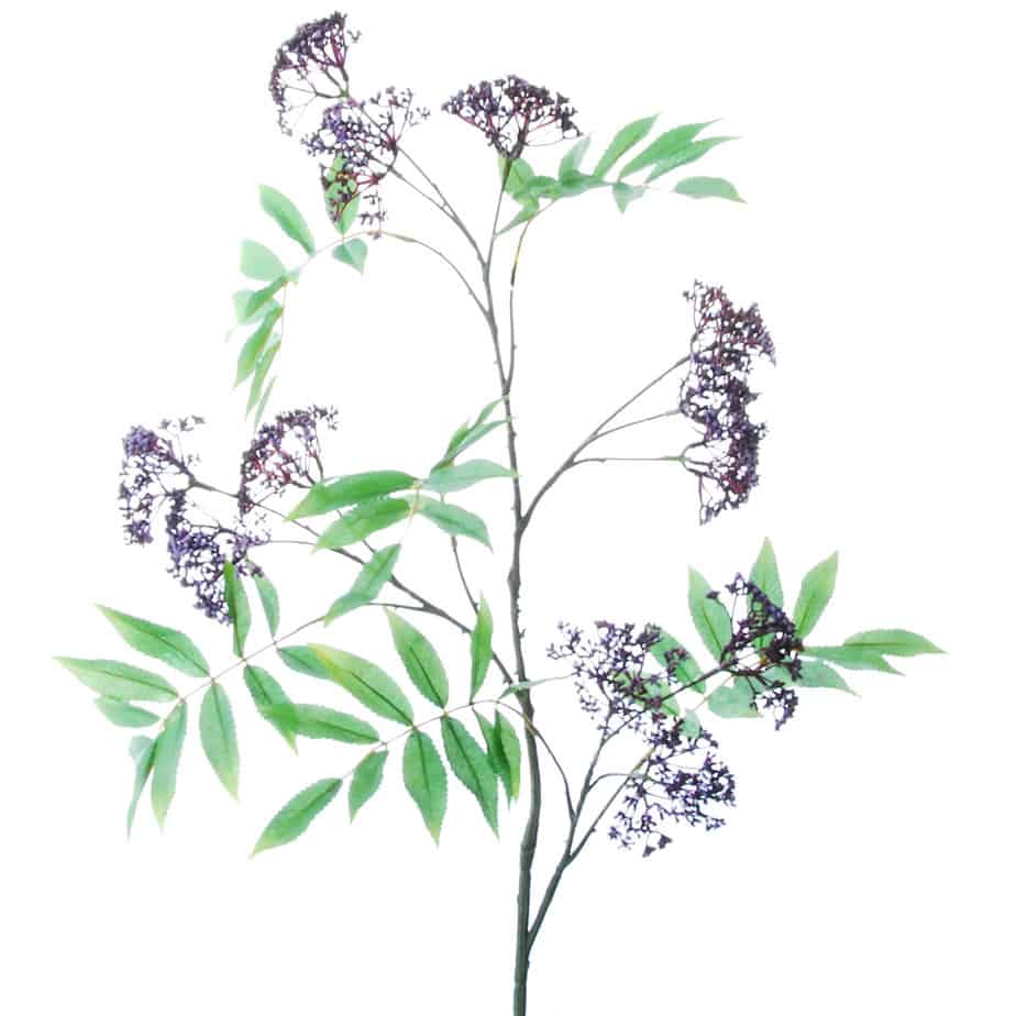 FlowerDutchess Bosje wilde aardbeitjes 29cm 4