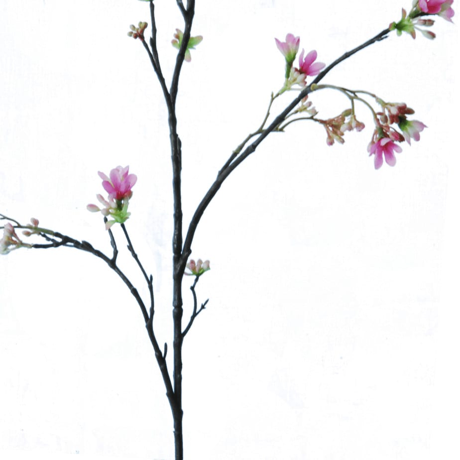 FlowerDutchess zevenzonen roze detail