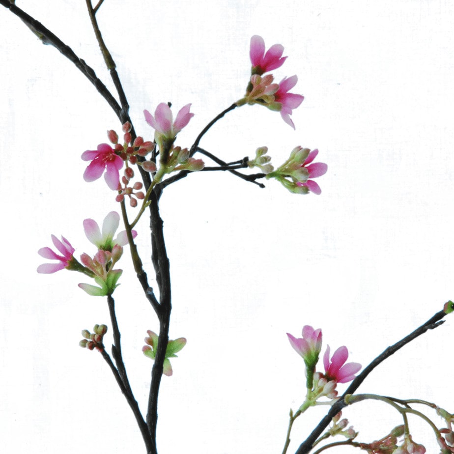 FlowerDutchess zevenzonen roze detail 2