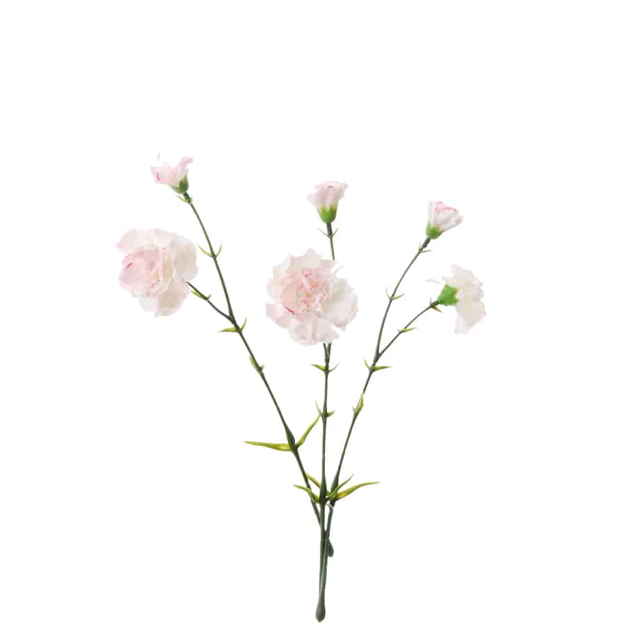 FlowerDutchess 3 anjers 30cm roze 5