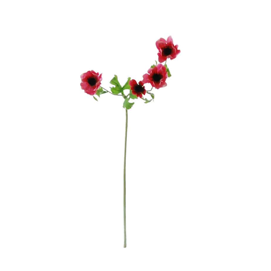 FlowerDutchess anemone 64cm pink 3