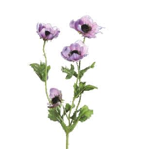 FlowerDutchess anemone 64cm lavender