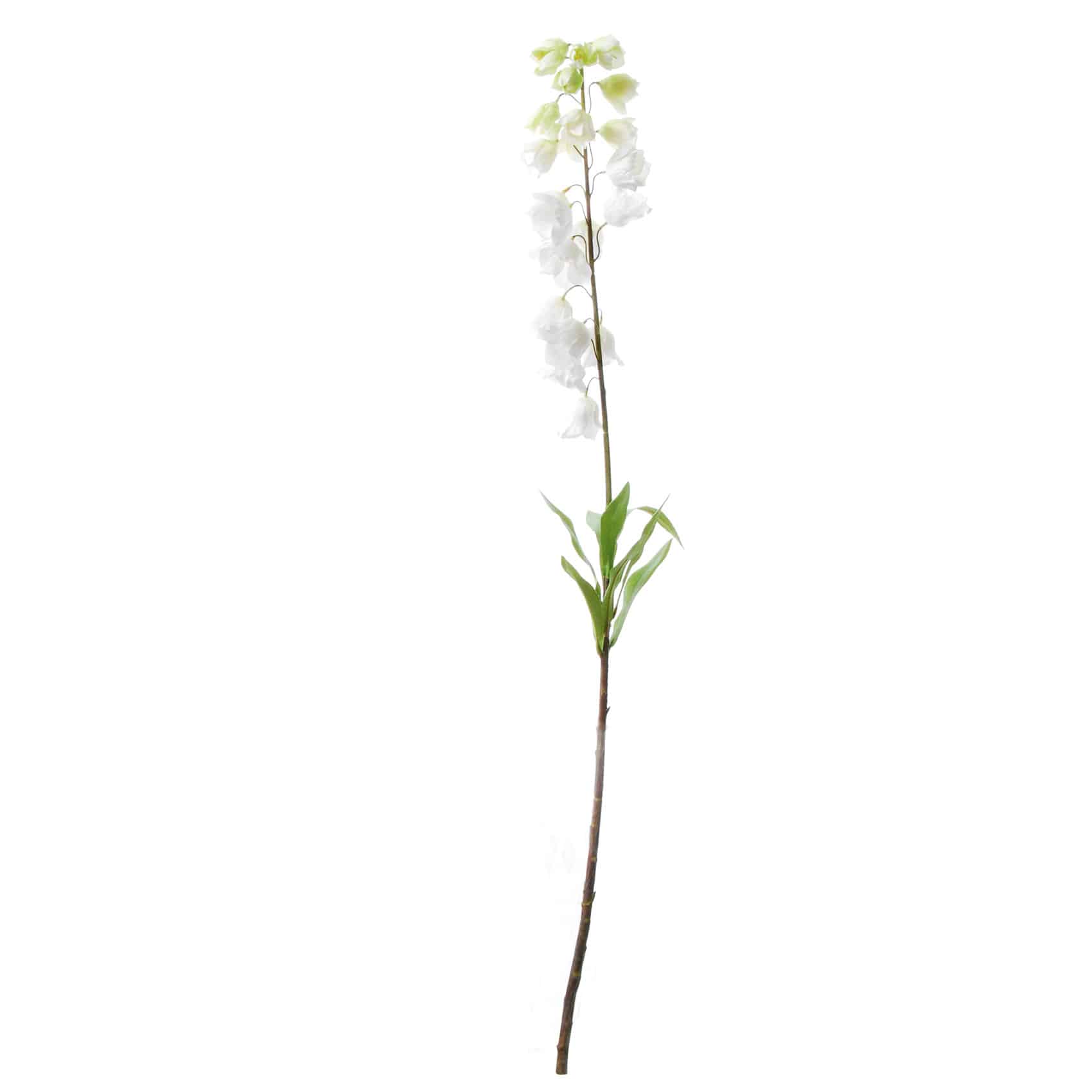 FlowerDutchess Fritilaria 90cm wit 4