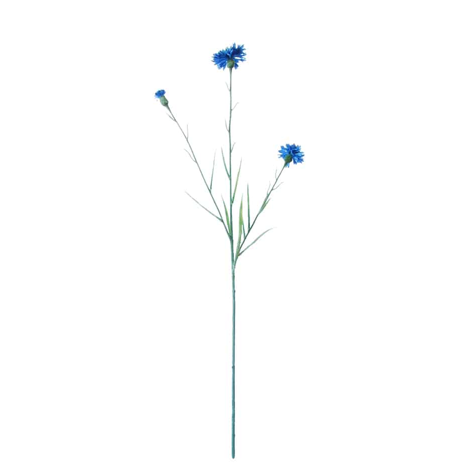 FlowerDutchess Korenbloem 62cm Blauw
