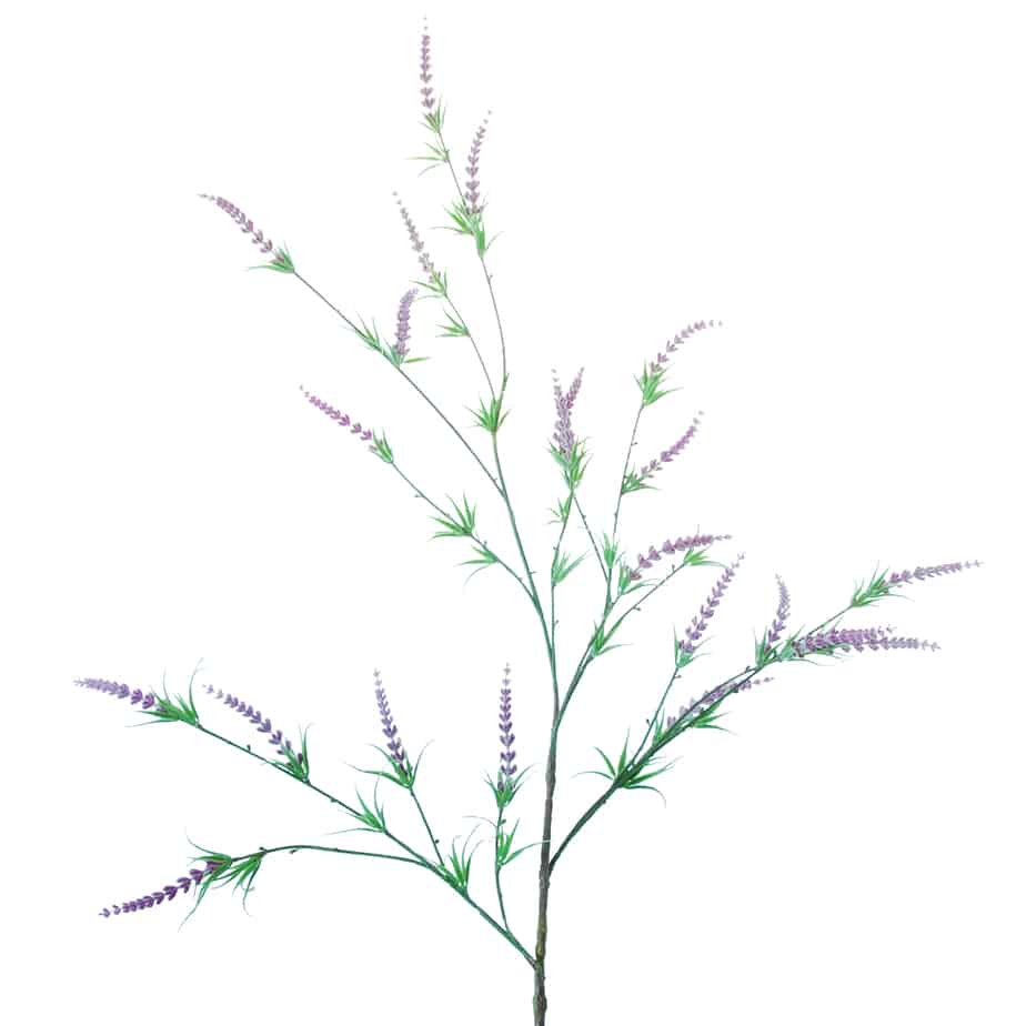 FlowerDutchess Lavendel 129cm lila 4