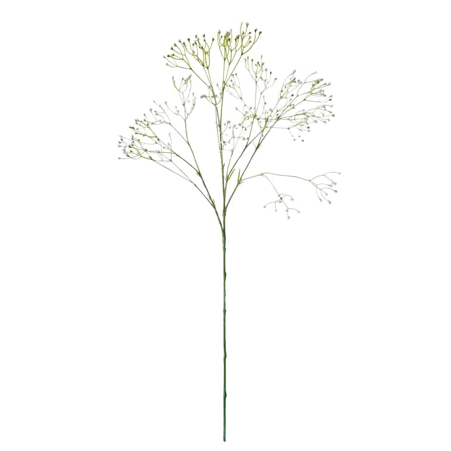 FlowerDutchess Gipskruid 85cm wit 6