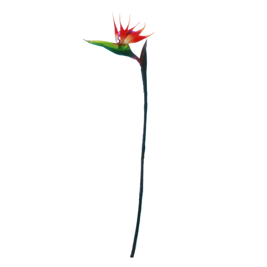 FlowerDutchess Strelitzia kunstbloem