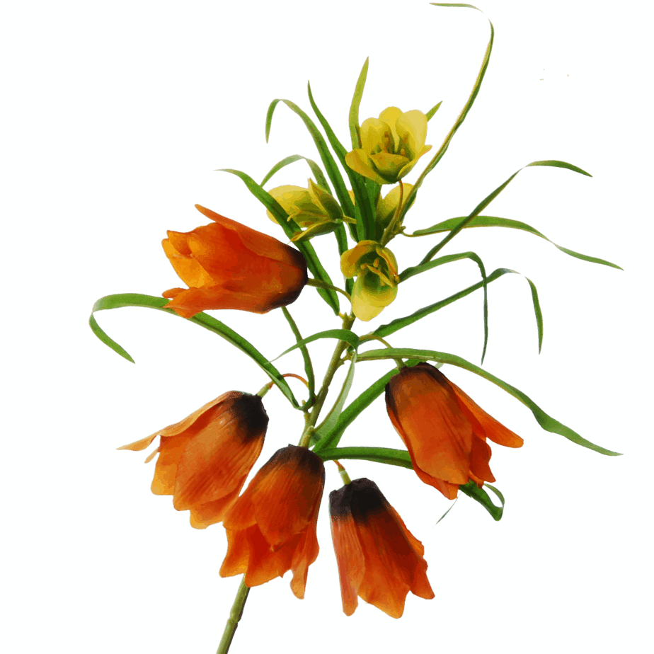 FlowerDutchess keizerskroon oranje detail 2