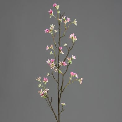 7 Sons Flower 100 cm pink