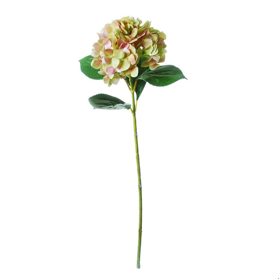 Flowerdutchess Hortensia 67cm groen licht roze 4