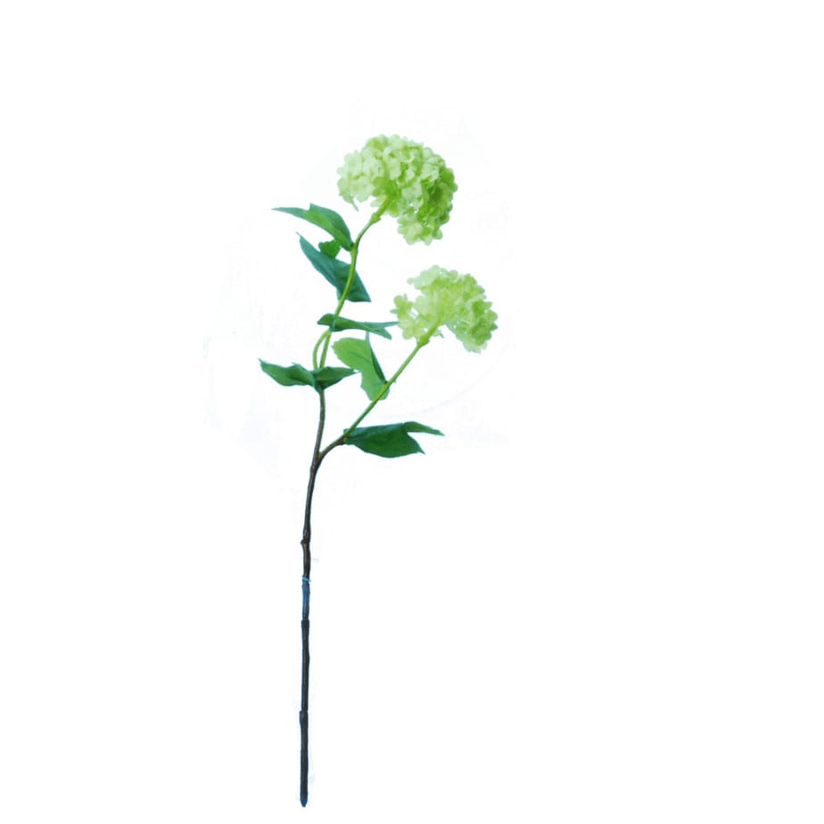 FlowerDutchess sneeuwbal 48cm full size 2