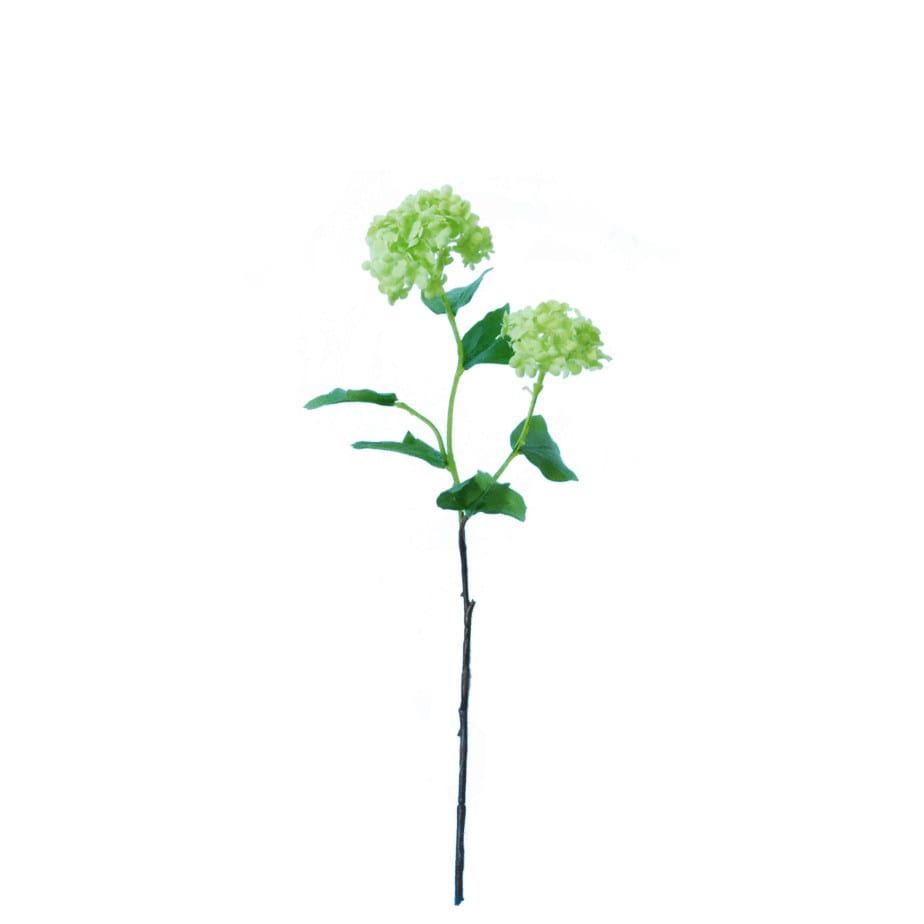 FlowerDutchess sneeuwbal 48cm full size