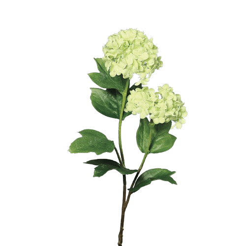 Sneeuwbal met 2 bloemschermen | 50 cm | groen creme