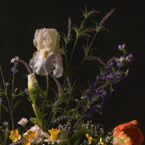 FlowerDutchess oude meester 1 detail 3