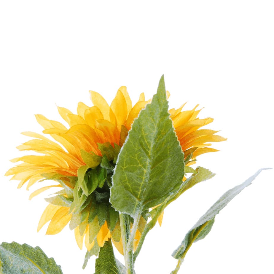 FlowerDutchess zonnebloem detail 2