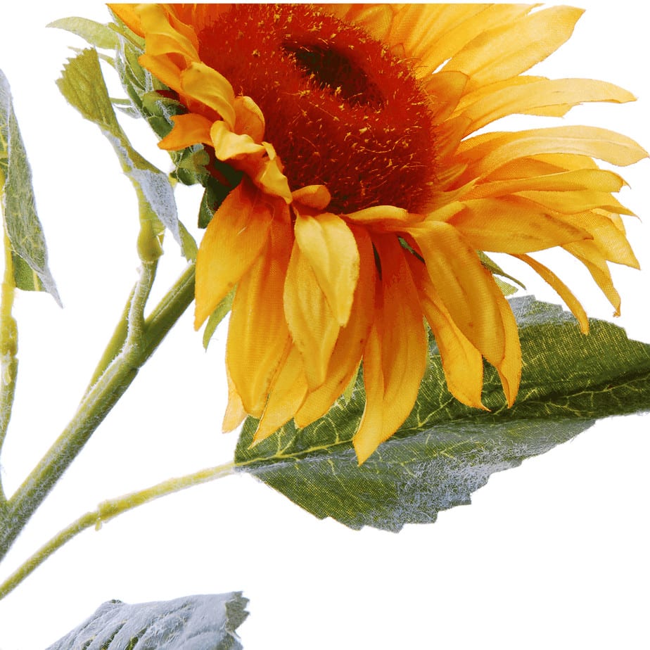 FlowerDutchess zonnebloem detail 3