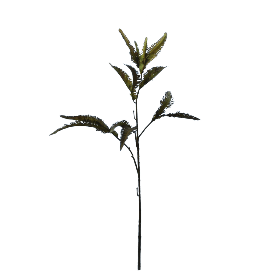 FlowerDutchess varentak 70cm groen 4
