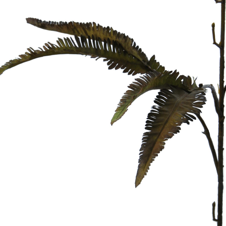 FlowerDutchess varentak 70cm groen 1